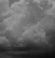Overnight: Cloudy, with a low around 40. North wind around 8 mph. 